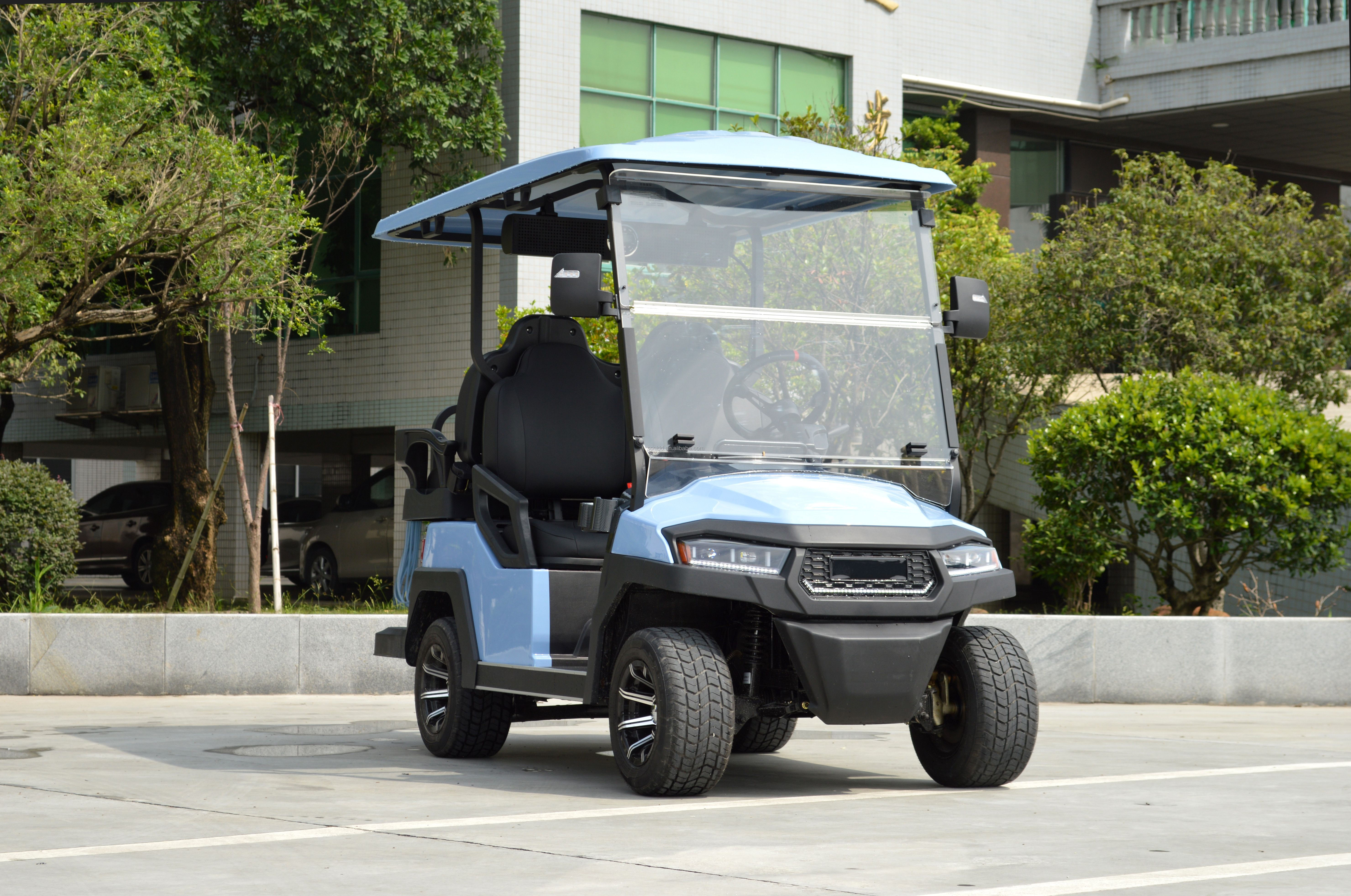 2 4 6 Seat Electric Lithium Battery Sightseeing Golf Cart Golf Buggy Car with DOT Comfortable and Spacious
