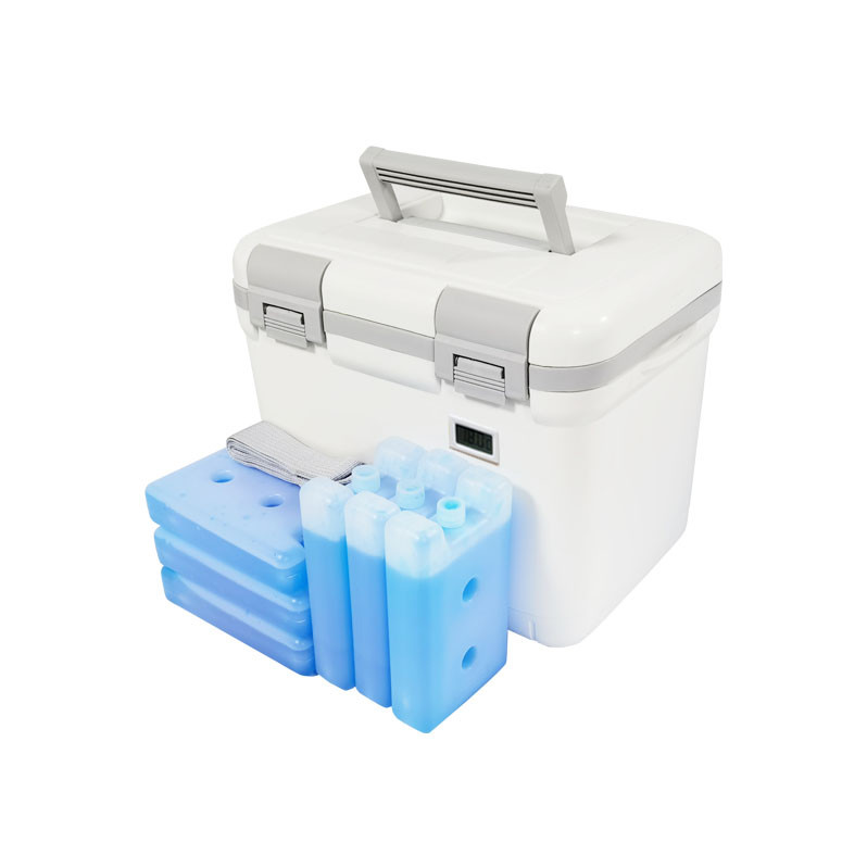 Keeping Insulin Cold While Traveling Mini Refrigerator For Insulin