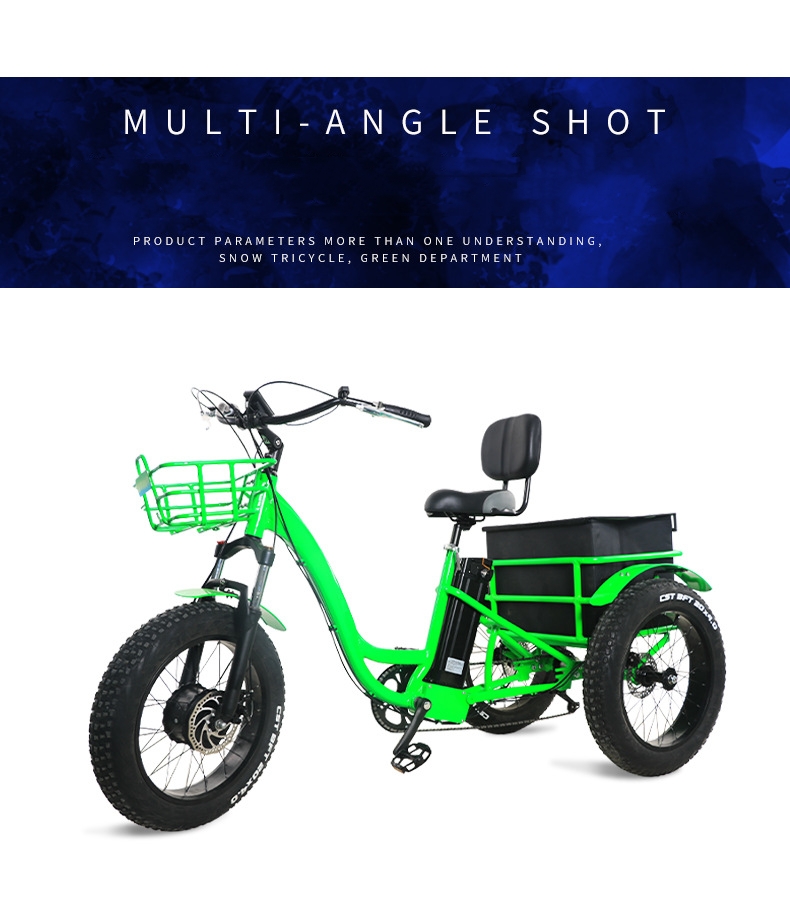 20 Inch Fat Tire 3 Wheel Electric Tricycle Long Range With 48V 350W 1000W Motor