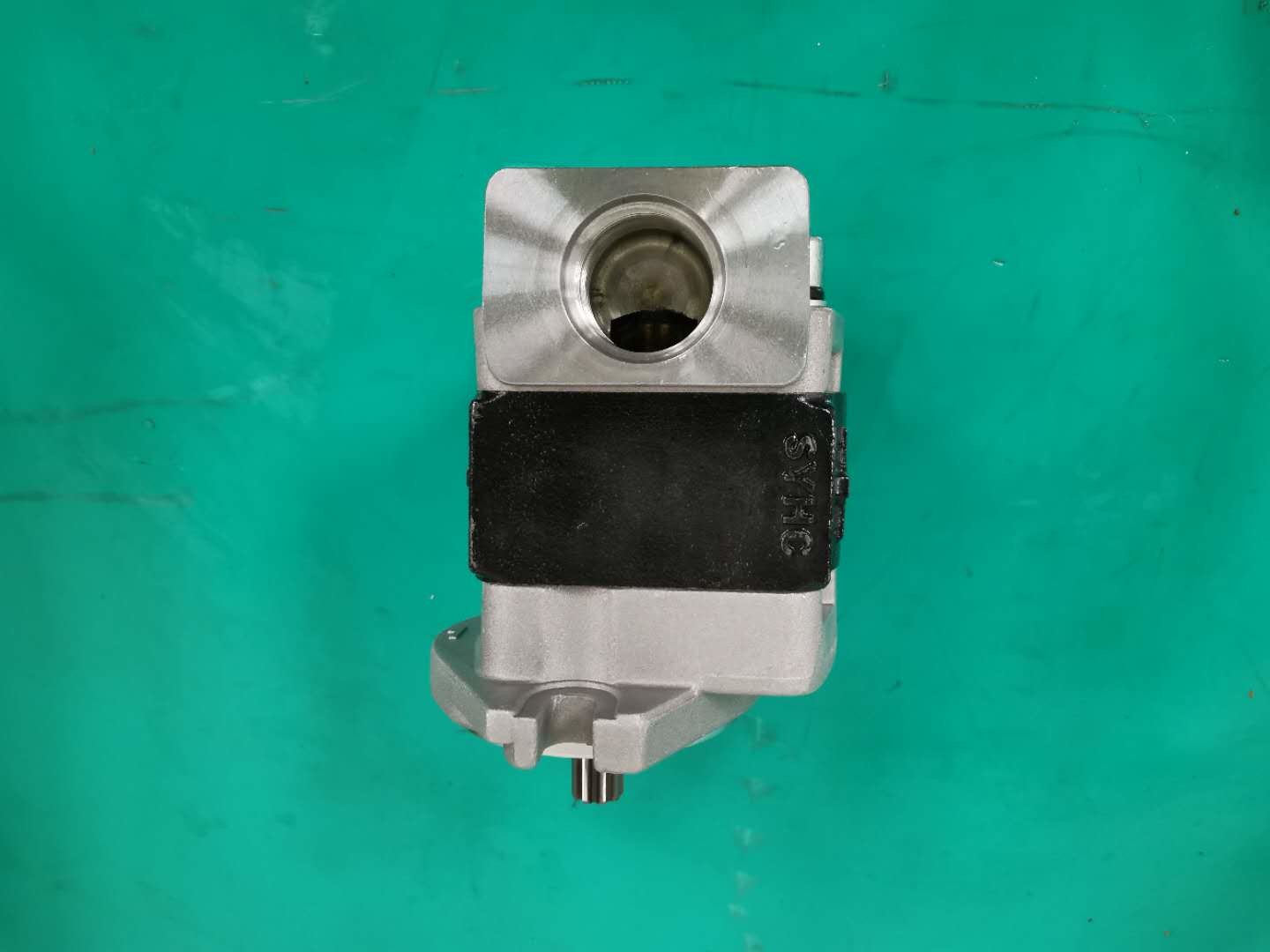 OEM Gear Pump SGP1AF25-ALΦ9 R SGP Series Siver And Black