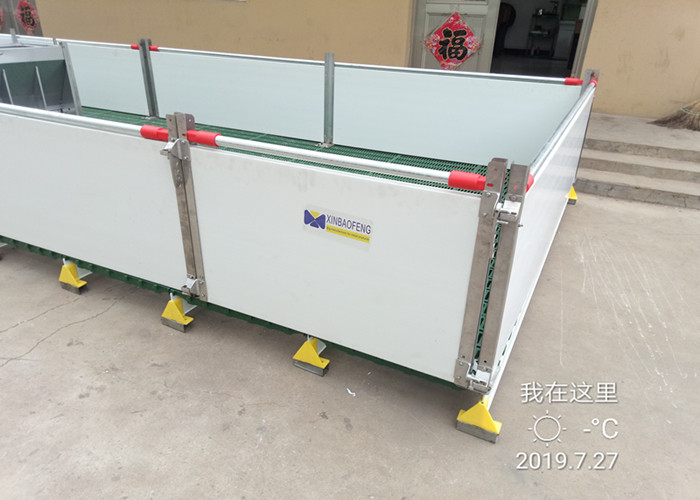 Customized Size Pig Farm Equipment Farrowing Crate For Sow / Piglet High Performance