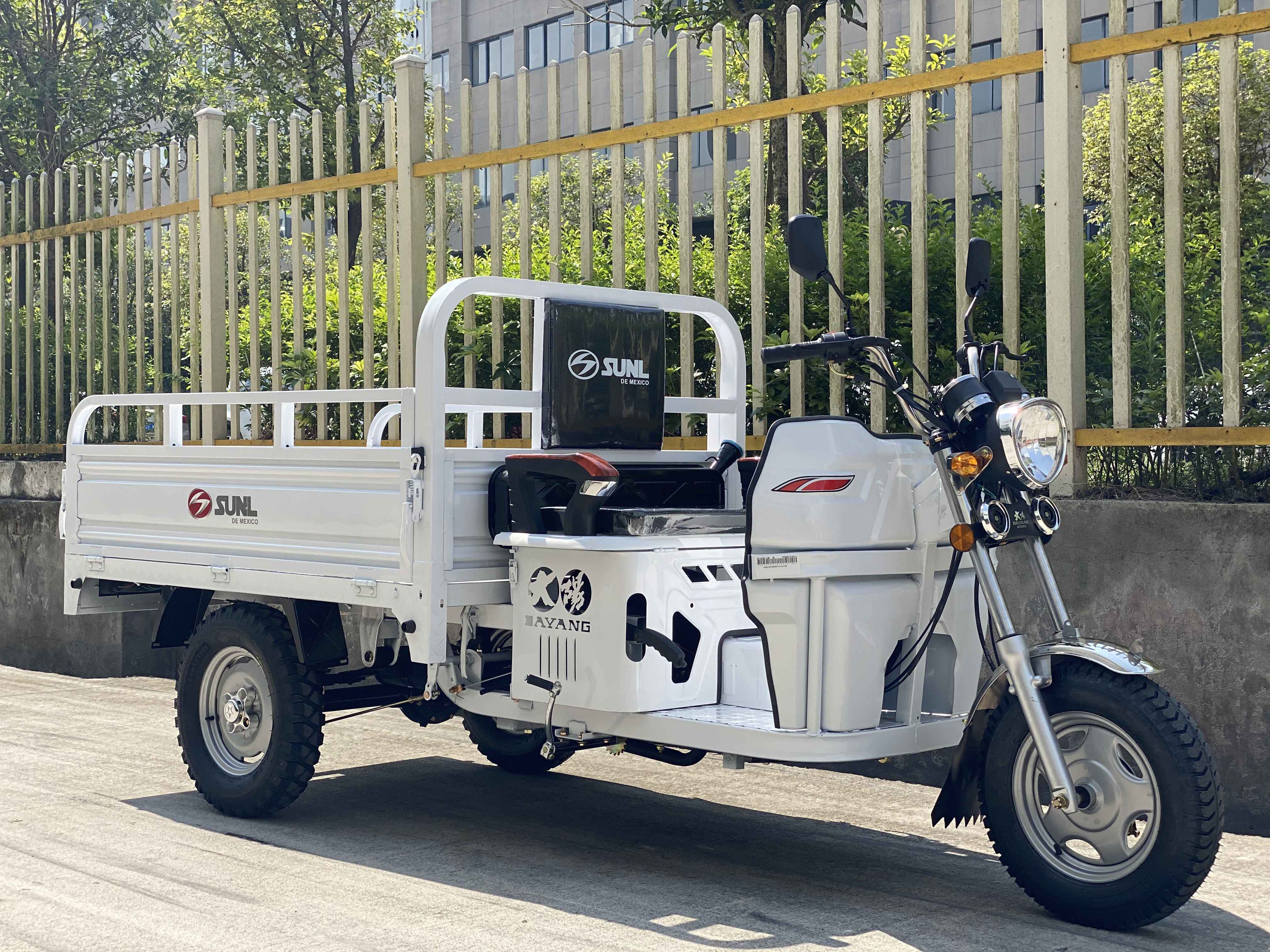 Motorized 150cc Classical Light Loading Truck Cargo Tricycle with 4.0 Inch Wheels