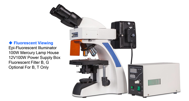 infinity Plan Achromatice Compound Optical Microscope 3W LED A12.1502 Backward Quadruple Nosepiece