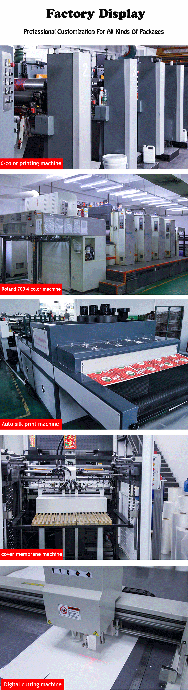 Mailer Cardboard Packaging