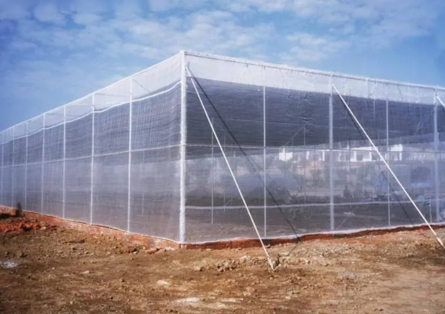 HDPE 5000S Agriculture Insect Net 50m 100m UV Resistant