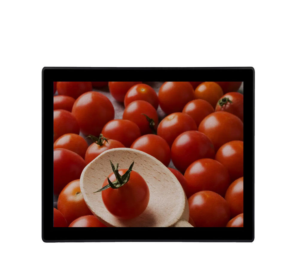 19" Industrial Touch Screen Monitor VGA DVI Input Kiosks Waterproof LCD Monitor