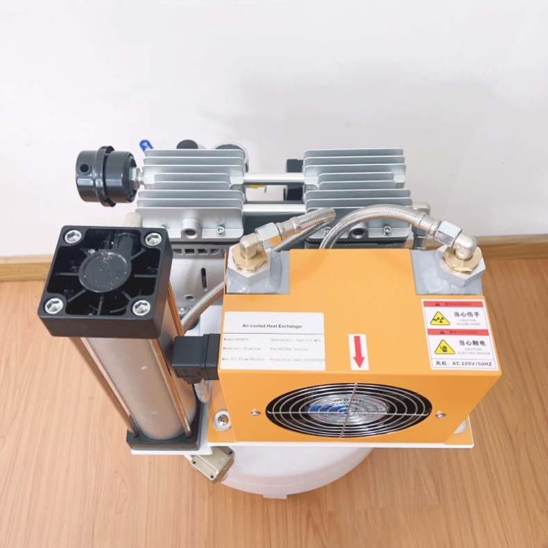 Oil Free Dental Air Compressor With Dryer 32L Silent Vaccum Pump Compressor