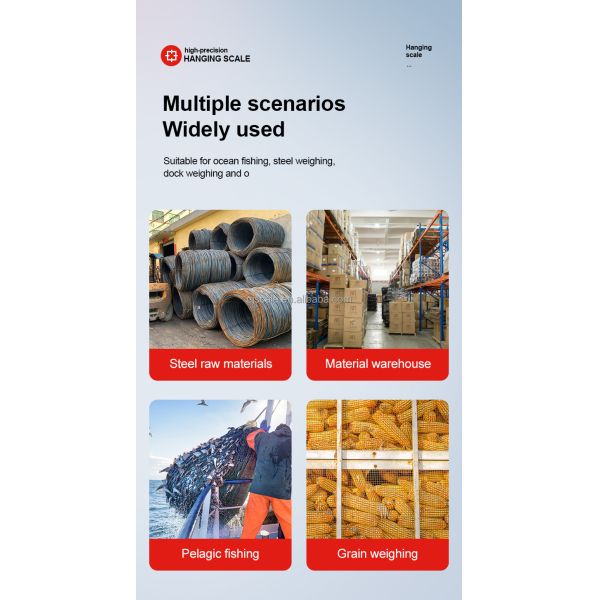 50g Accuracy Electronic Industrial Hanging Scale 300kg Digital Crane Scale with Customized OEM Support