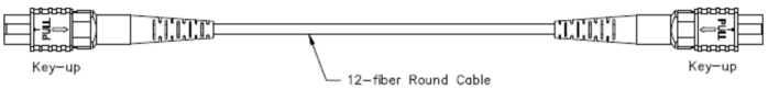 paste-pic-dp_uuid_n6cg0