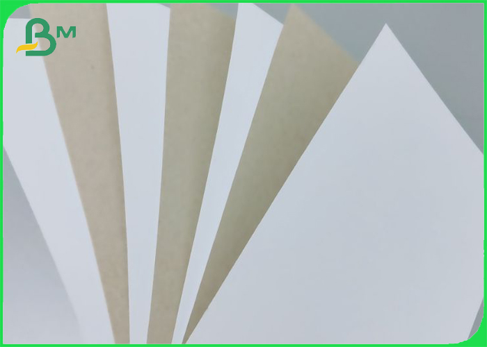 White With Gray Back Duplex Paper Recycled Pulp 200g 300g 400g