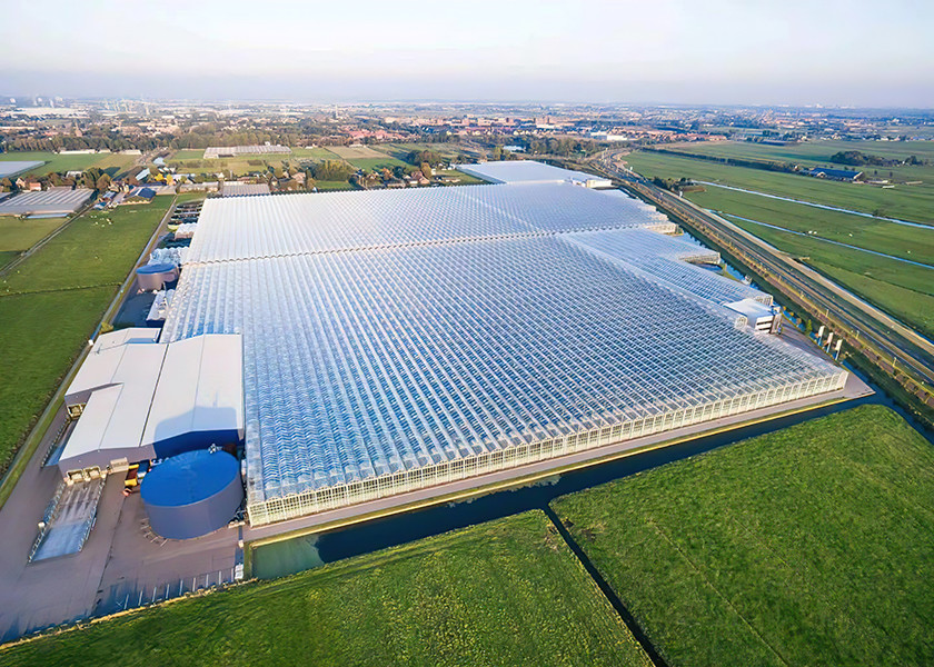 Weldless Multi Span Greenhouse Galvanized Frame For Bountiful Flower