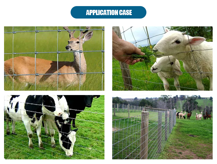 High Quality China Manufacture Electric Fence Cattle Deer Fence On Farm For Goat Cattle Deer Using