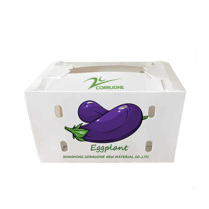 Corn Corflute Box Vegetable Corrugated Boxes Recyclable Custom Size