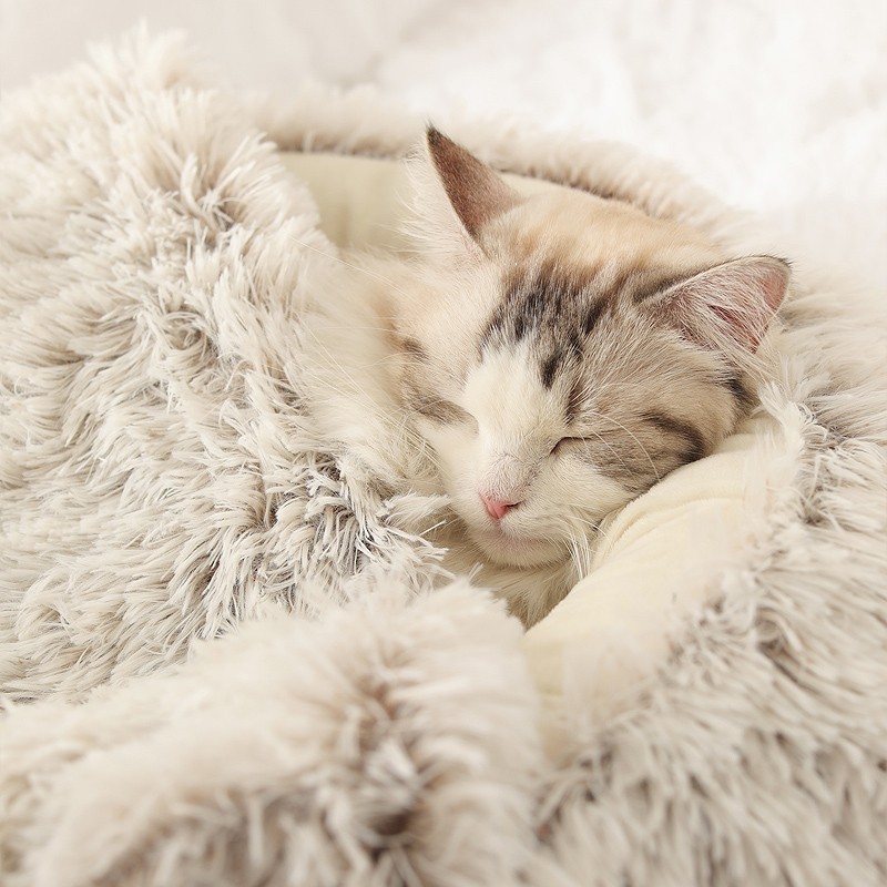 best calming bed for dogs