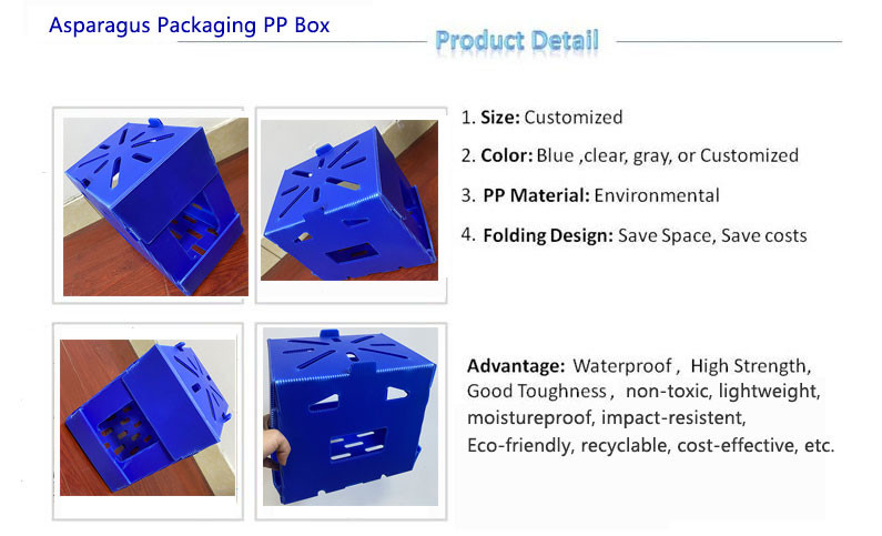 Non Toxic Foldable Corrugated Plastic Box , 400GSM Correx Packaging Boxes