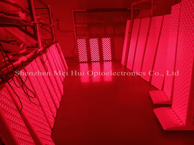 660Nm 850Nm PDT Whole Body Red Light Therapy 300W 500W 1000W 1500W