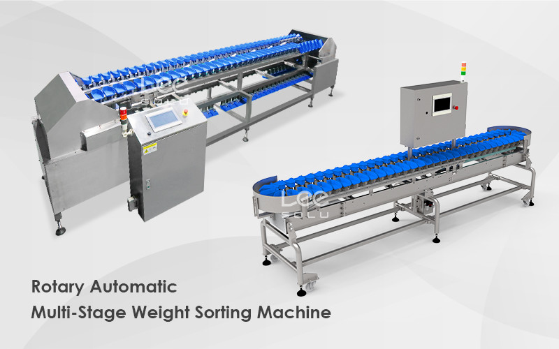 Stainless Steel Tomato Garlic Onion Sorting Machine Potato Grading Size Grader Machine Vegetable Weight Sorting Maine