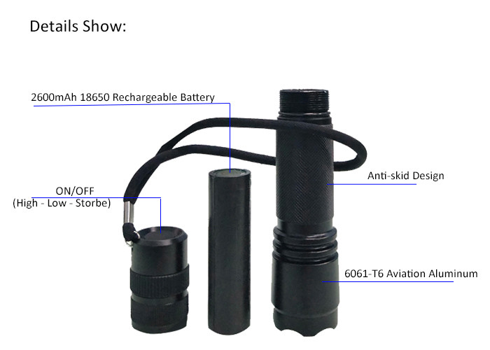 Portable Instrnicially Safe Explosion Proof LED Flashlight Black Torch Torch Light