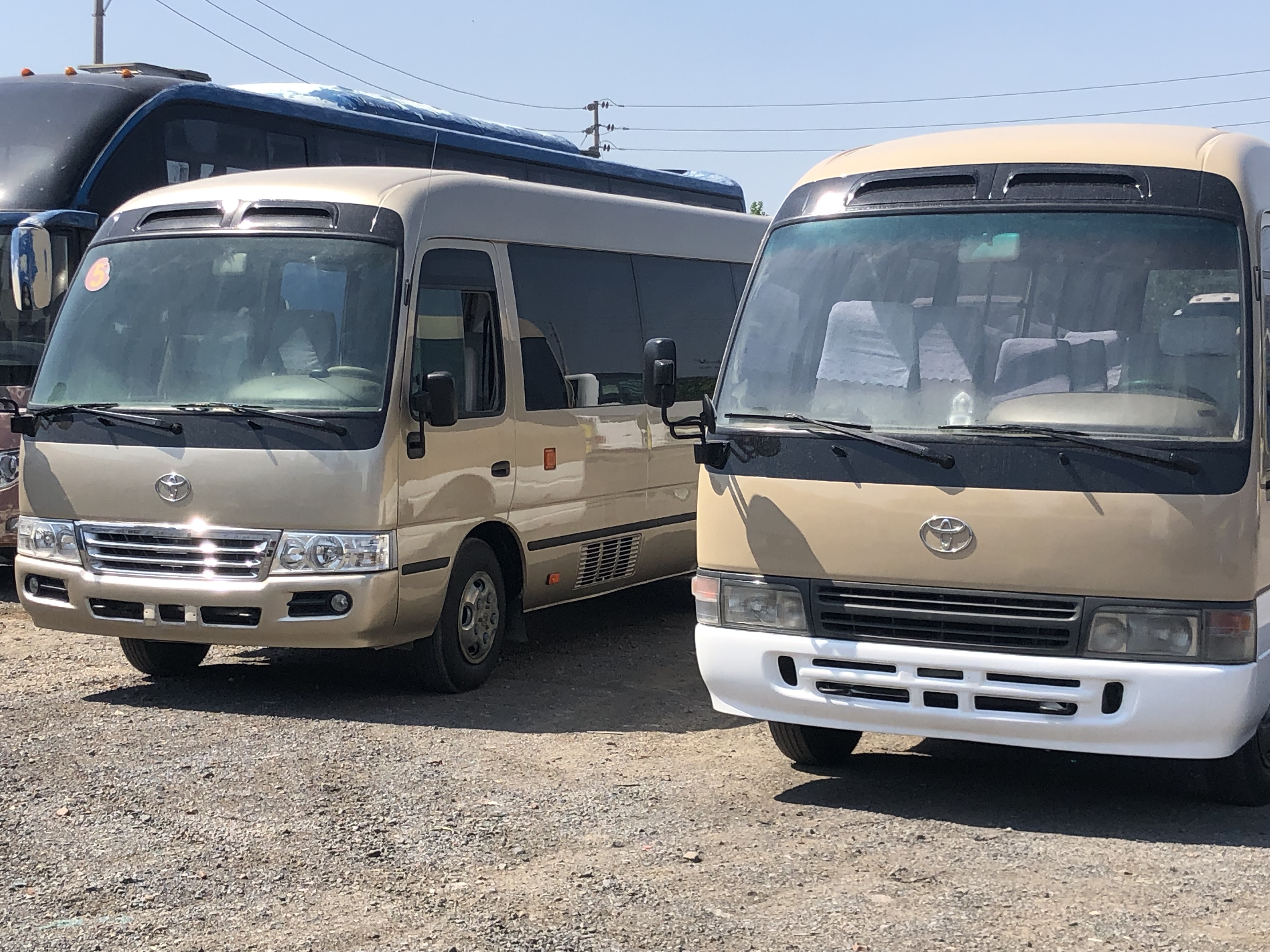 Japan Made Toyato Engine Model 30 Seats Yellow Coaster for Your Requirements