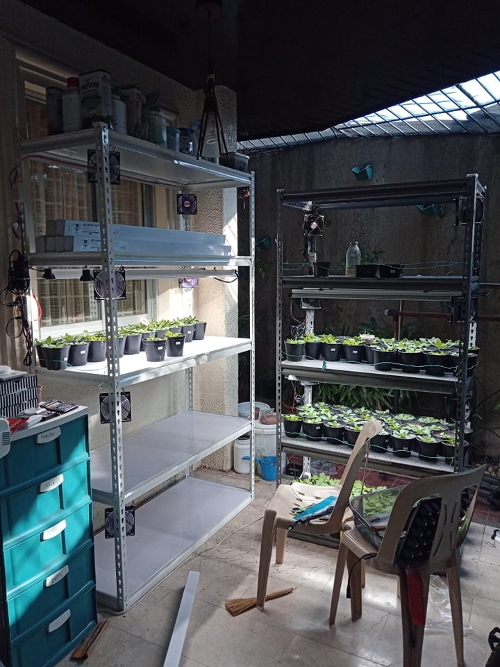 Propagation Tray Nursery Tray With EDJ LED Grow Light For Seedling