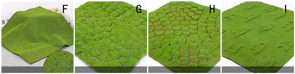 Green Silk Cloth Moss Artificial Grass Vertical Garden Wall Panles Size 1*1m