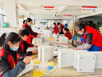 Yueqing Vorax Electric CO.,LTD
