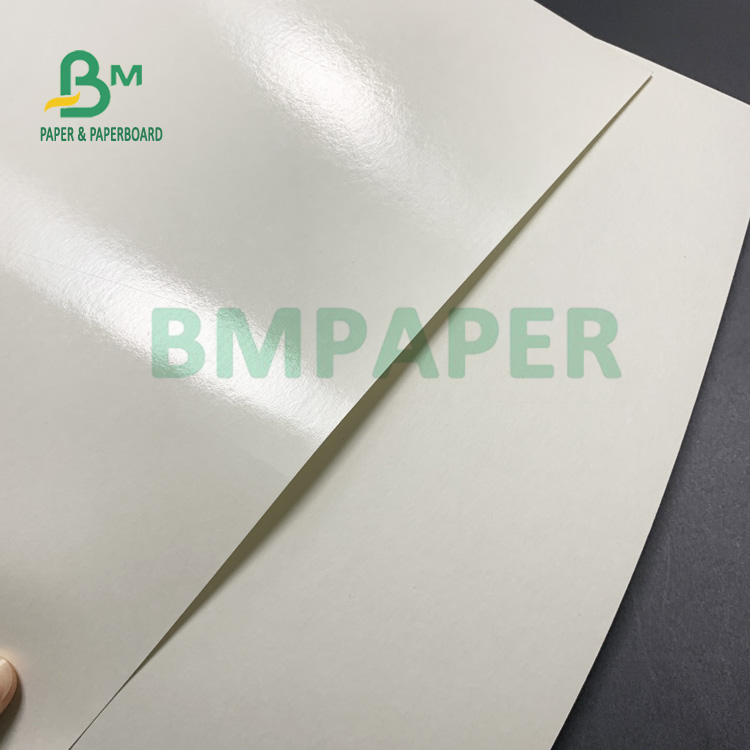 135gsm + 18gsm PE One Side Coated Cup Paper Safe & Contact With Food