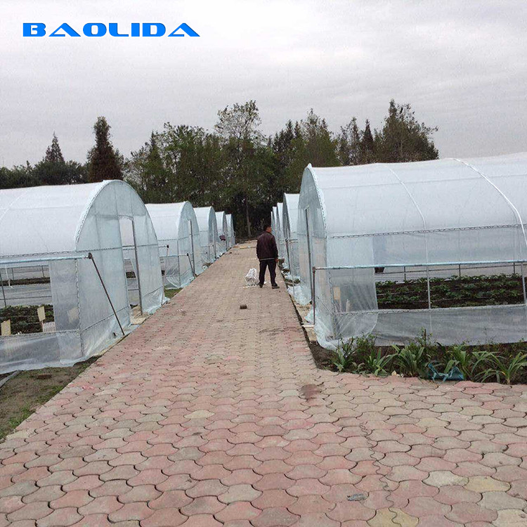 Plastic Tunnel Single Span Greenhouse Agricultural For Strawberry
