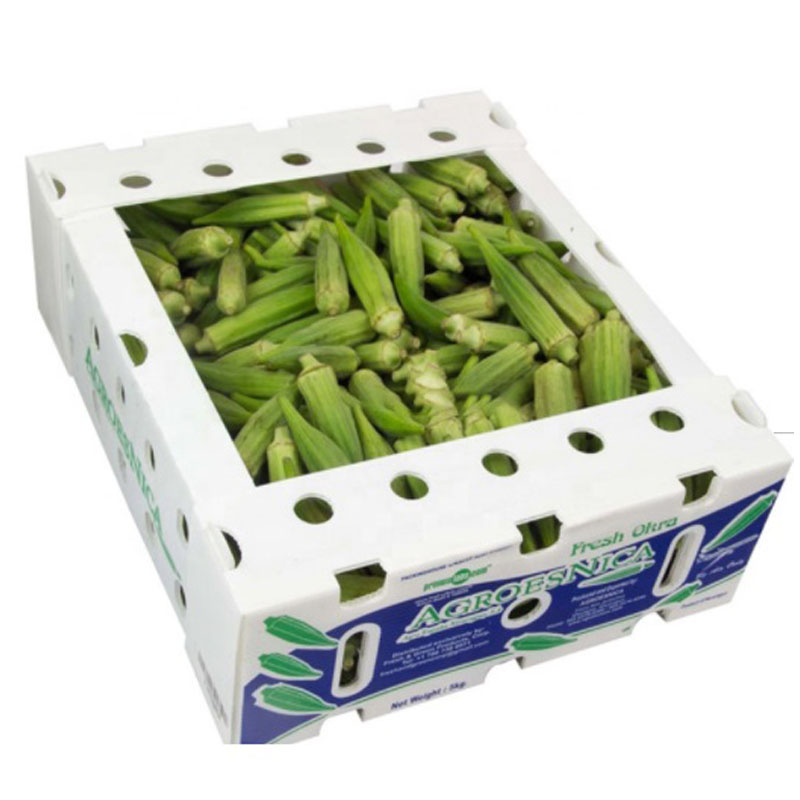 PP/PE plastic box for Fruits and vegetables
