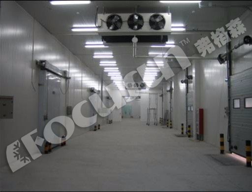Cold Room Freezer for Vegetables Fruit Meat And Seafood