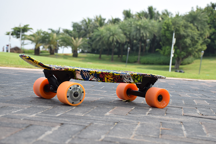 Plastic Portable Electric Skateboard , Colorful Fastest E Skateboard Fish Board