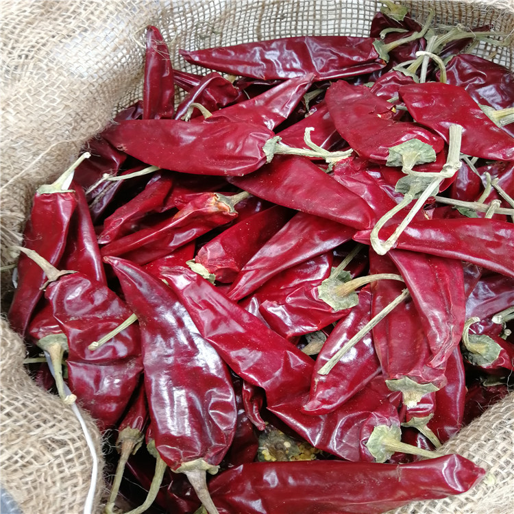 Grade A Dried Guajillo Chili 12cm Chile Guajillo Heb No Speckle