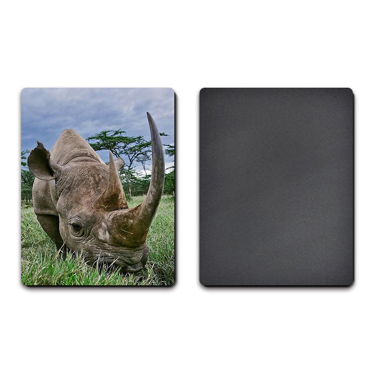 3D Plastic Material Lenticular Personalized Fridge Magnets UV Printing Gift