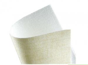 PPS High Temperature Resistant Needle Punched Filter Felt Anti Acid ISO Certification