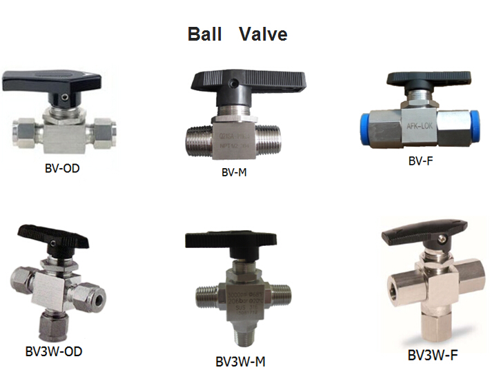 MNPT FNPT Natural Gas Ball Valve , Tube OD Ferrule Connected Stainless Gate Valve