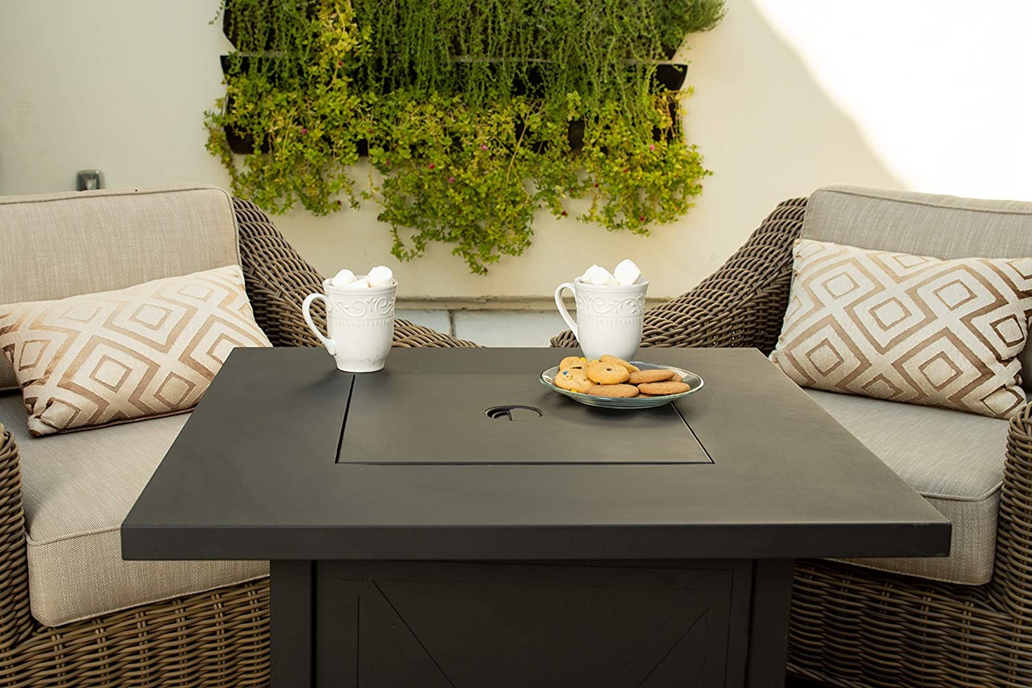 50000 Btu Outdoor Gas Firepit Brazier Table Customized Size And Color