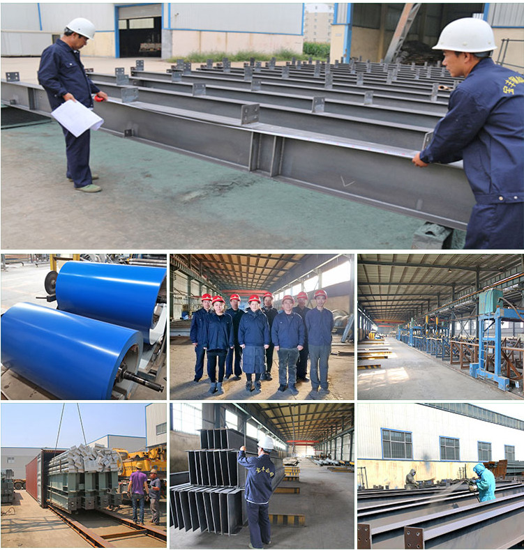 XDEM Steel Structure Warehouse Production Workshop Chicken And Poultry Farm