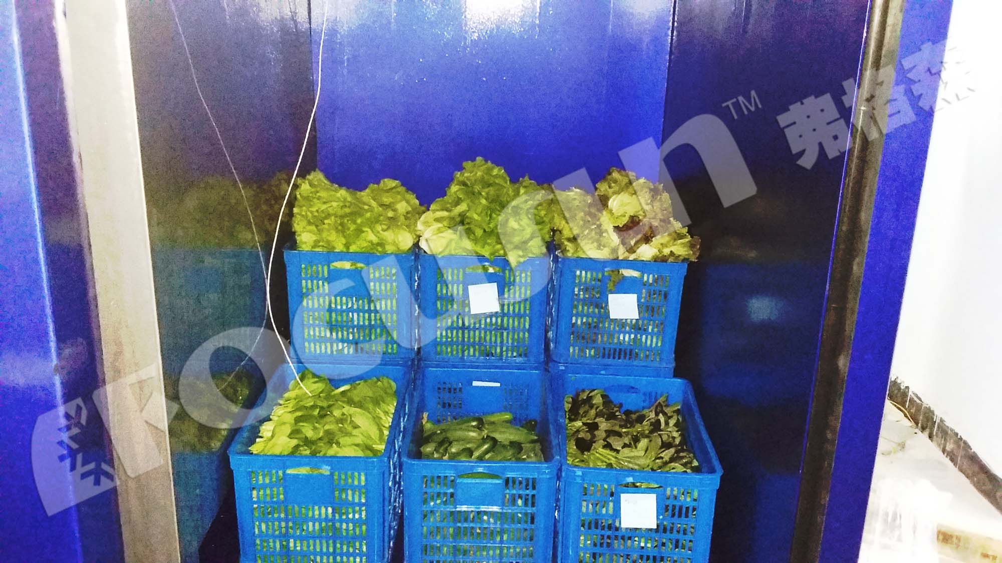 Industrial Fruit Vegetable Vacuum Cooler with Provided Video Outgoing-Inspection