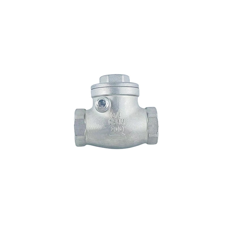 Stainless Steel 304/316 Factory Direct Swing Check Valve Wod Brand