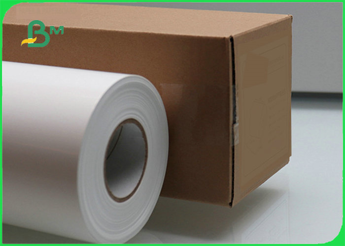 260gsm RC Resin Coated Waterproof Glossy Photo Paper For Inkjet Printer 24" 36"