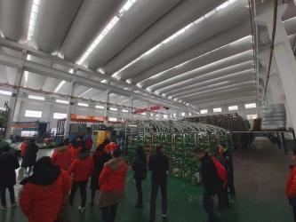 Sunny Grass Co.,Ltd