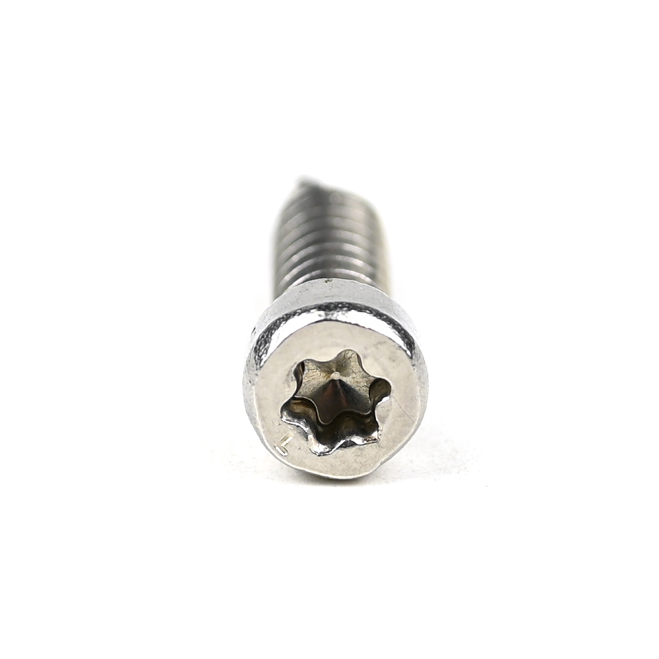 304 Stainless Steel Round Fillister Head Screw M6 Torx Screw with Customized Support