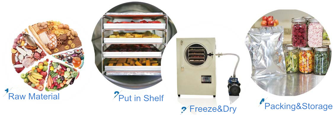 4kg Per Batch Mini Vacuum Freeze Dryer For Pet Food Dog Treats