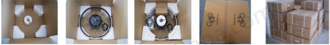 20inch 36v 250w hub motor electric bike conversion kit
