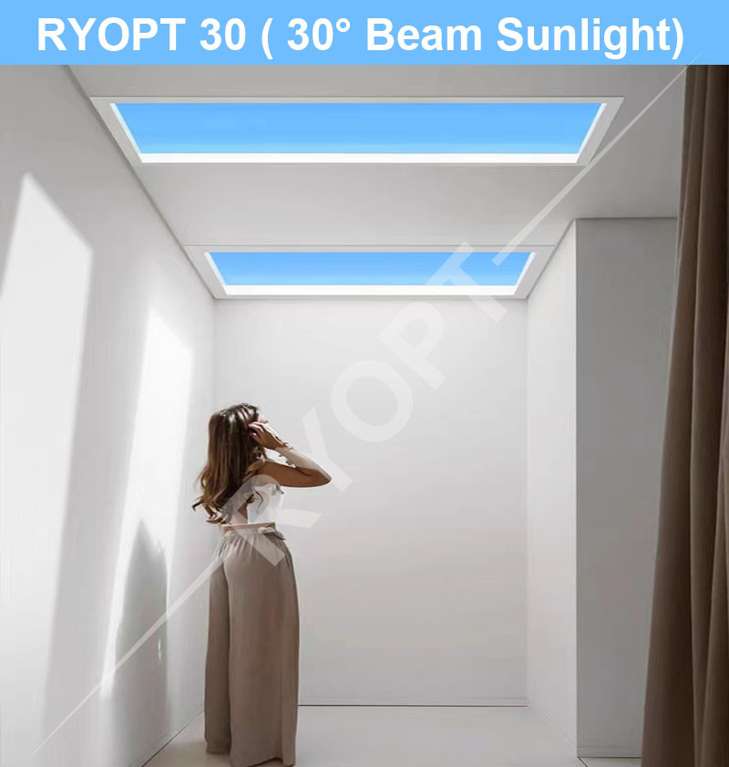 Wireless 6500K Skylight Panel LED Light 30 Degree Angle Durable