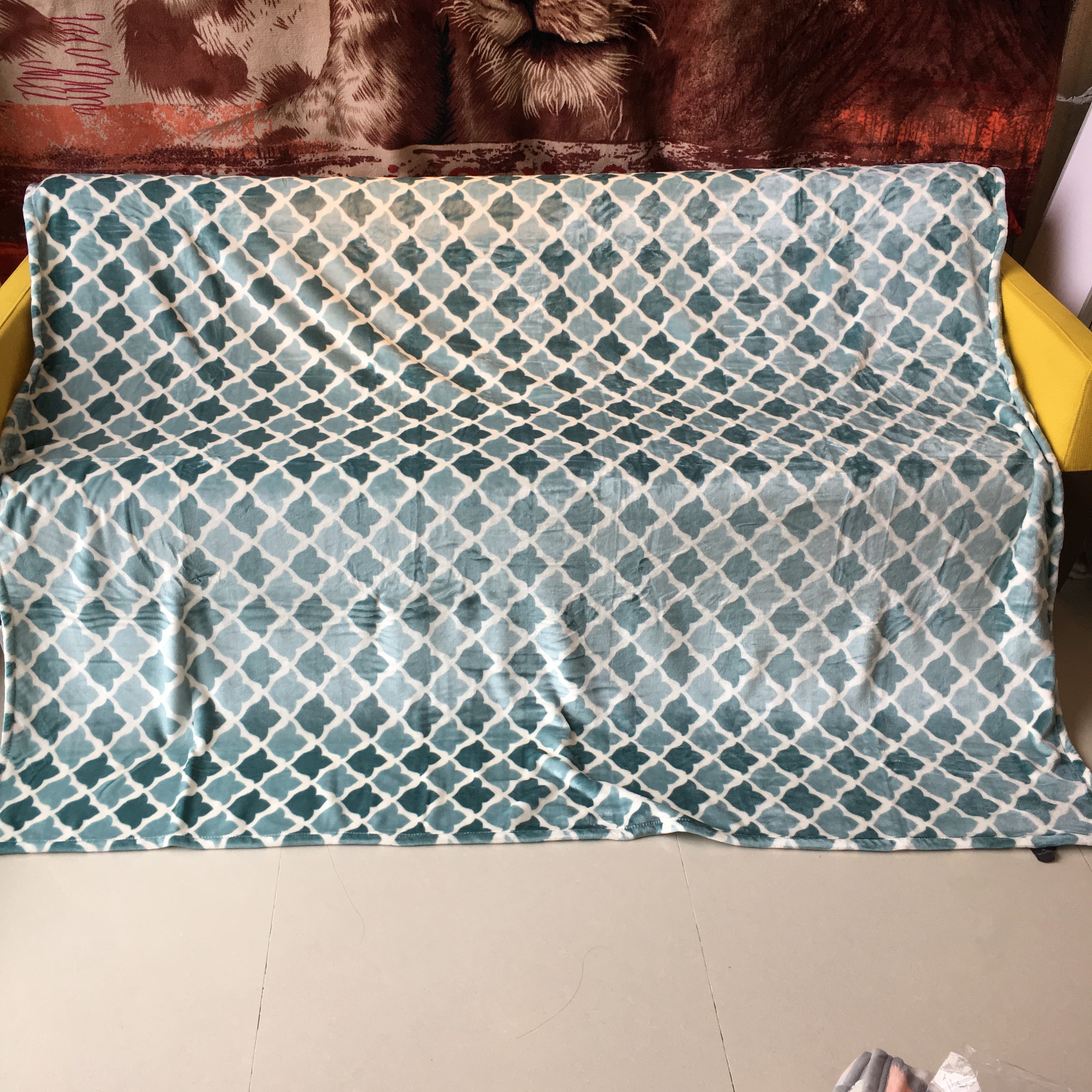 100 Percent Polyester Flannel Print Blanket For Bed Sets / Bathrobes Shrink Resistant