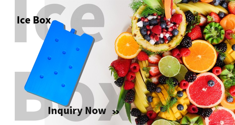Fresh Refrigerated Thermal Insulation Ice Box Medical Food Plastic Cooling Gel Ice Brick