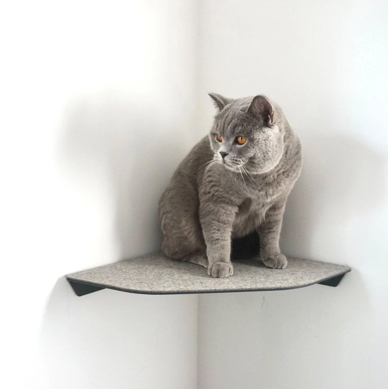 Keep Your Cat Active and Healthy with Yellow Floating Cat Wall Shelves Steel Perches
