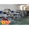 Buy cheap Industrial Food Standard Apple Processing Line Large Capacity Water Saving from wholesalers