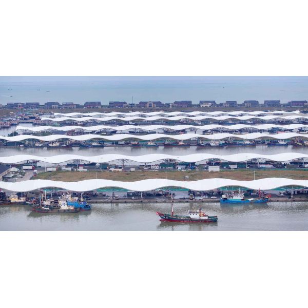 Professional PTFE tensile membrane roofing for national speed skating center